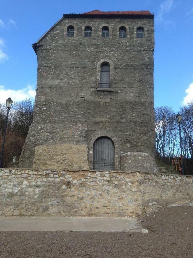 Appartamento Ratstrasse Im Kyffhaeuser - Krumm & Schief Bad Frankenhausen/Kyffhäuser Esterno foto